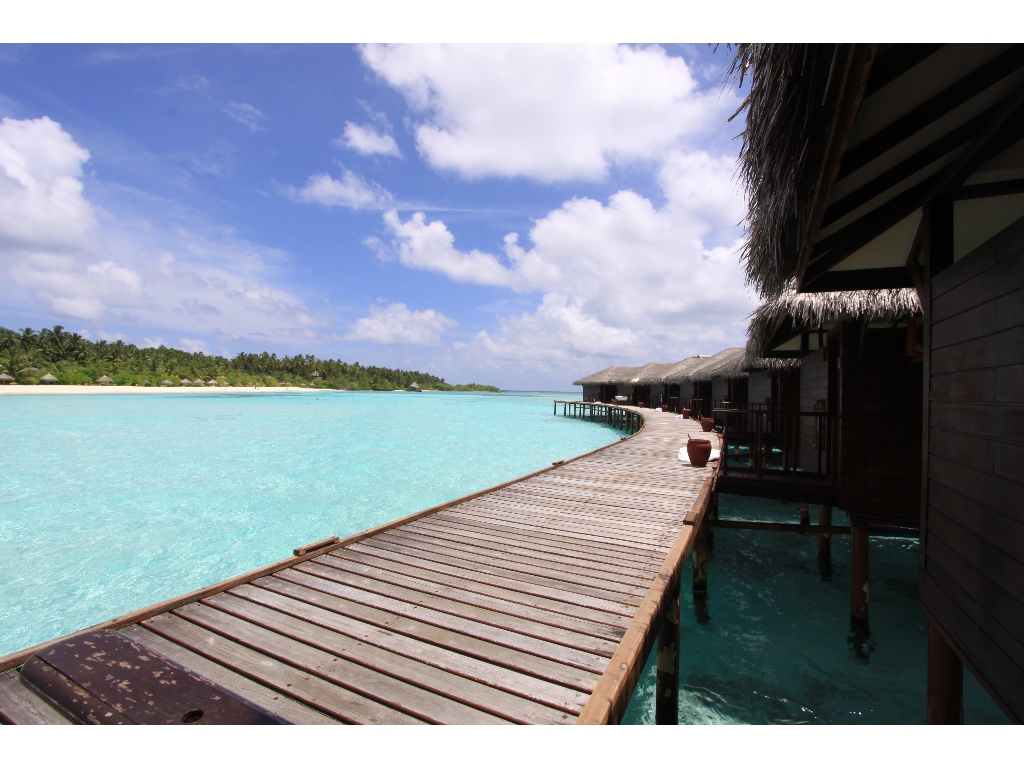 2010-10-24 08-48-34 - Maldives 2010 IMG_6274 2010-10-24 08-48-34 - Maldives 2010 IMG_6274